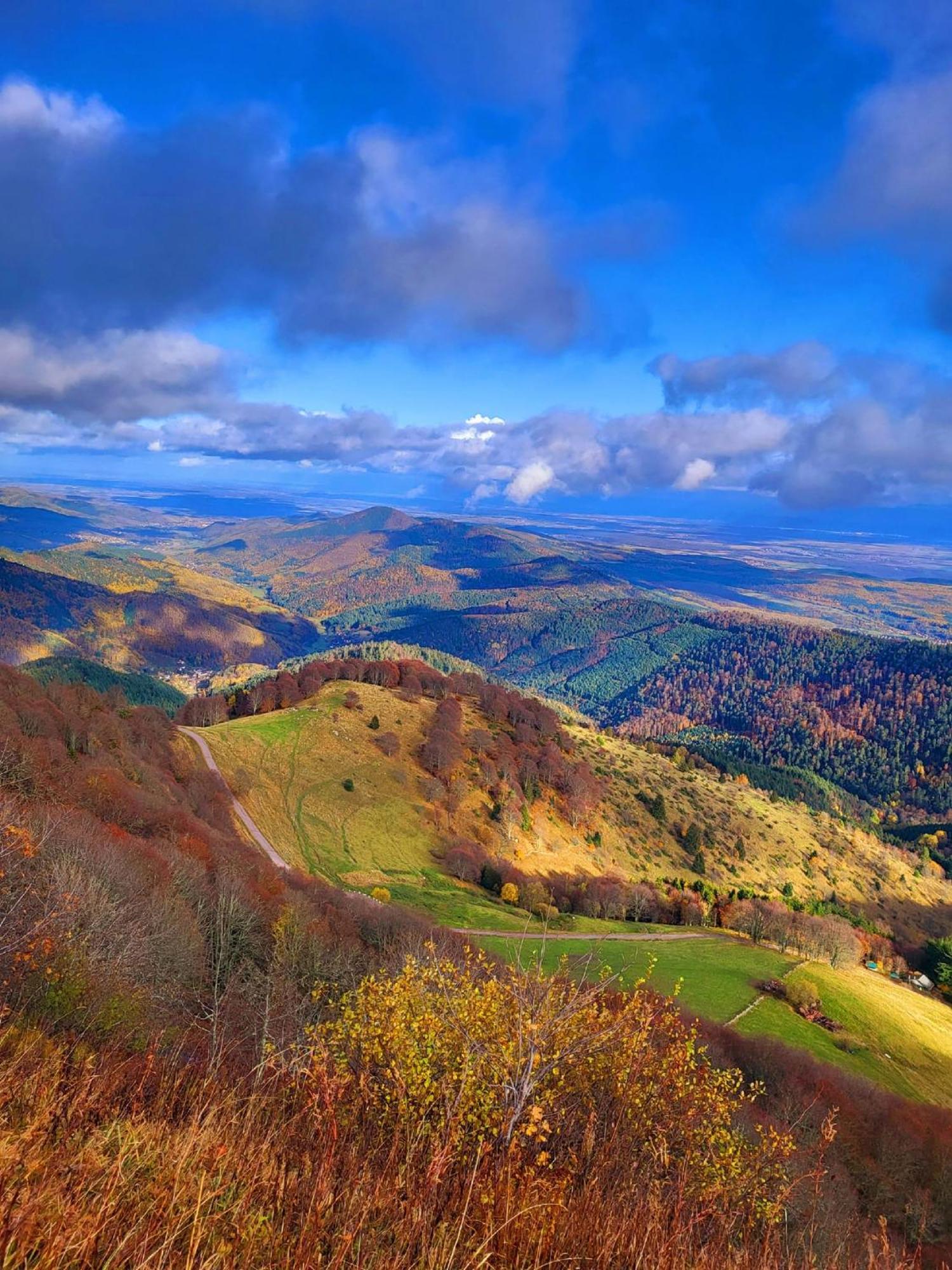 Le Panorama Du Murat Mulhouse Riedisheim 68 Haut-Rhin Alsace Saint-Louis Luaran gambar